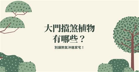 擋煞福木風水|別讓煞氣沖進家宅！大門擋煞植物有哪些？ 